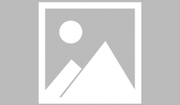 小森林漫画,田园生活的温馨画卷